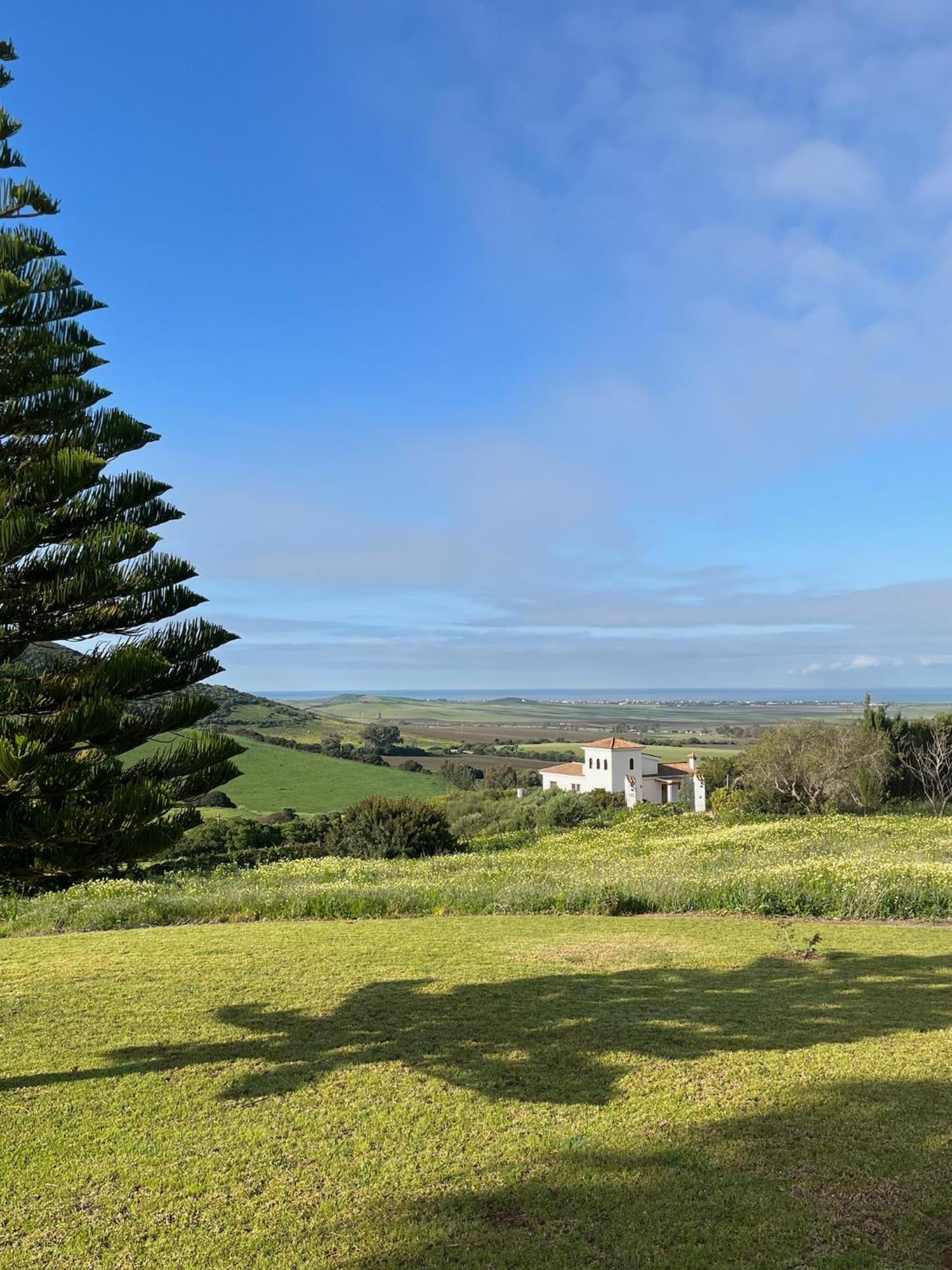 Finca La Vina Villa Vejer de la Frontera Exteriör bild