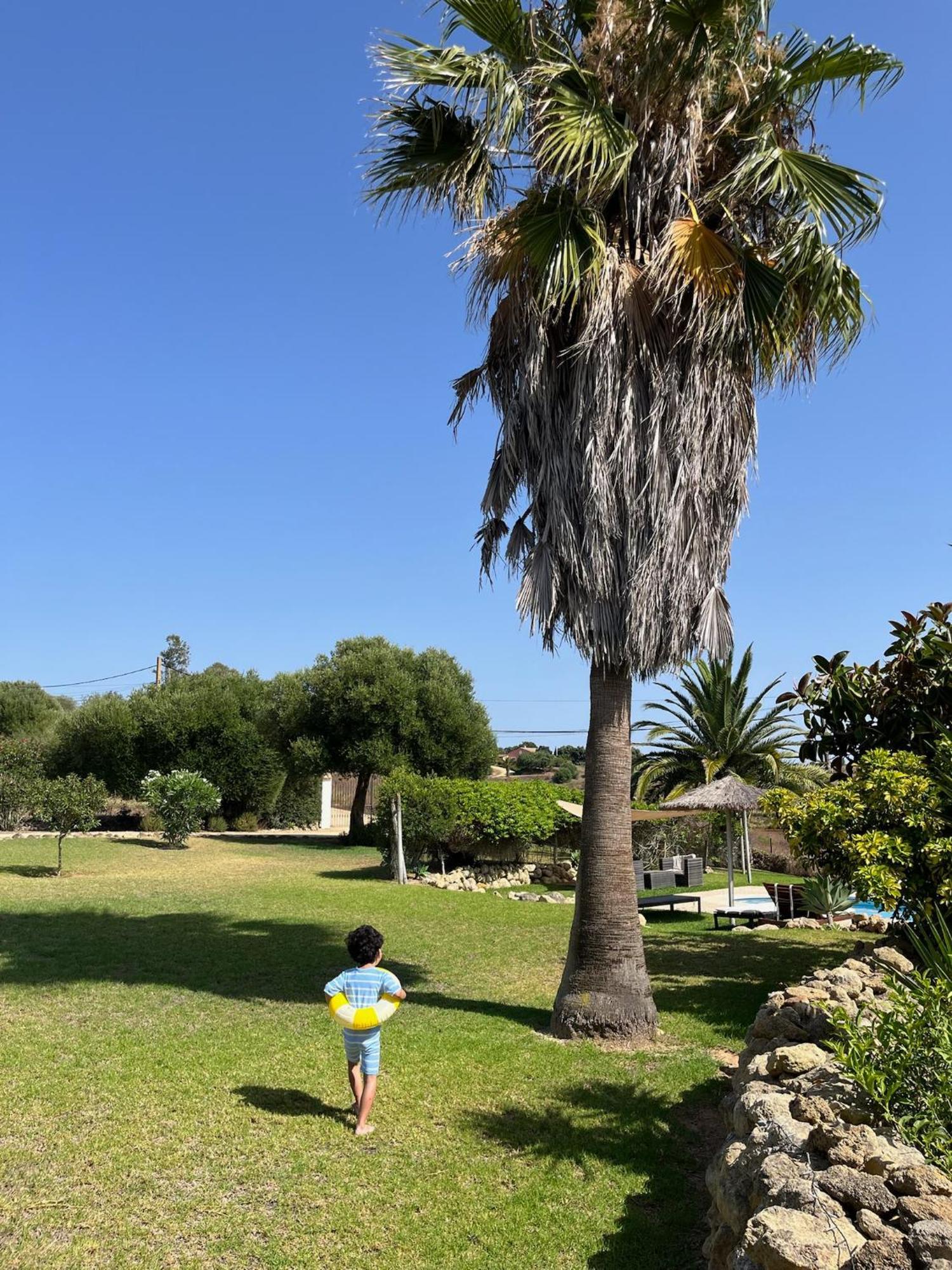 Finca La Vina Villa Vejer de la Frontera Exteriör bild