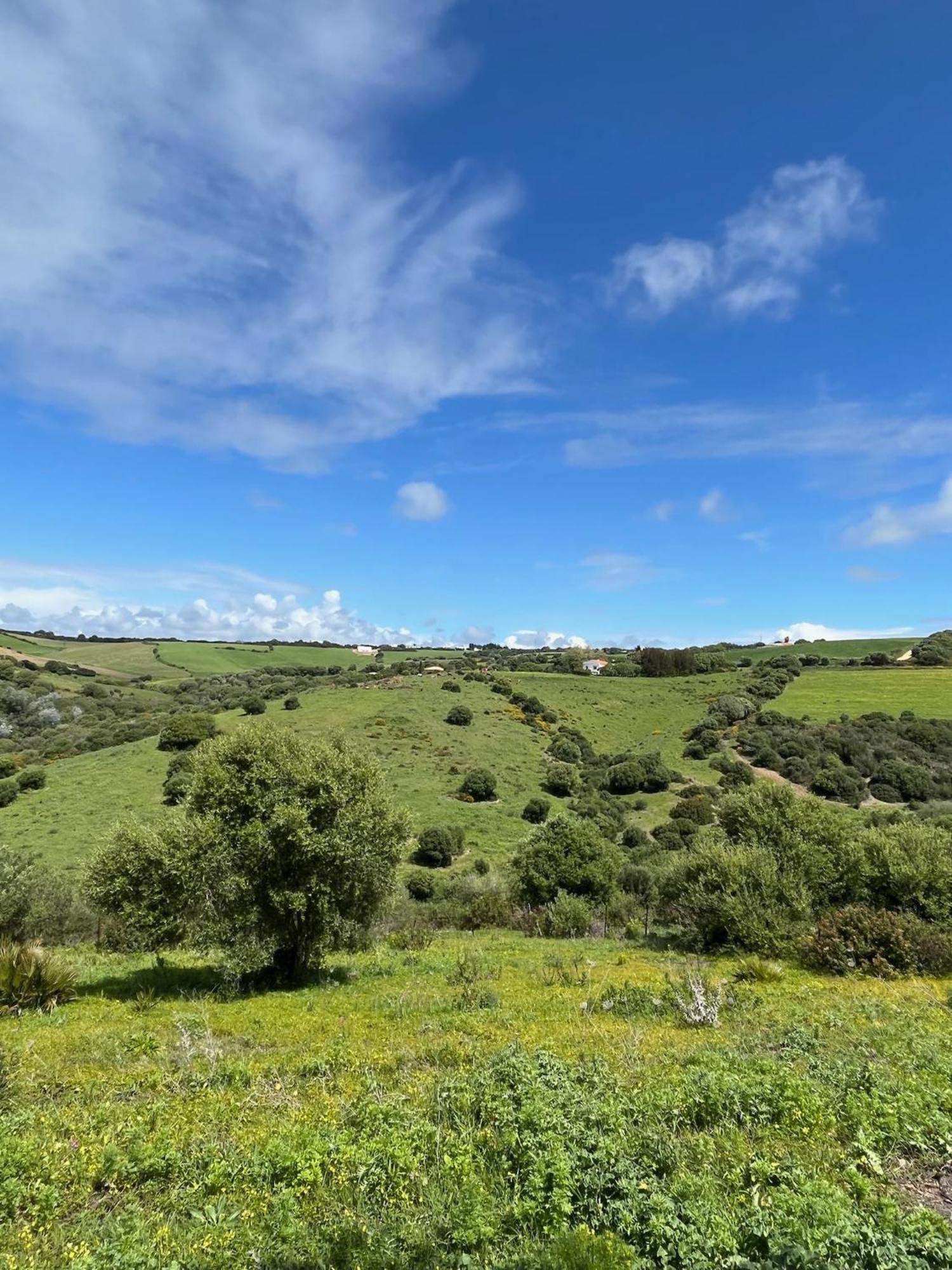 Finca La Vina Villa Vejer de la Frontera Exteriör bild