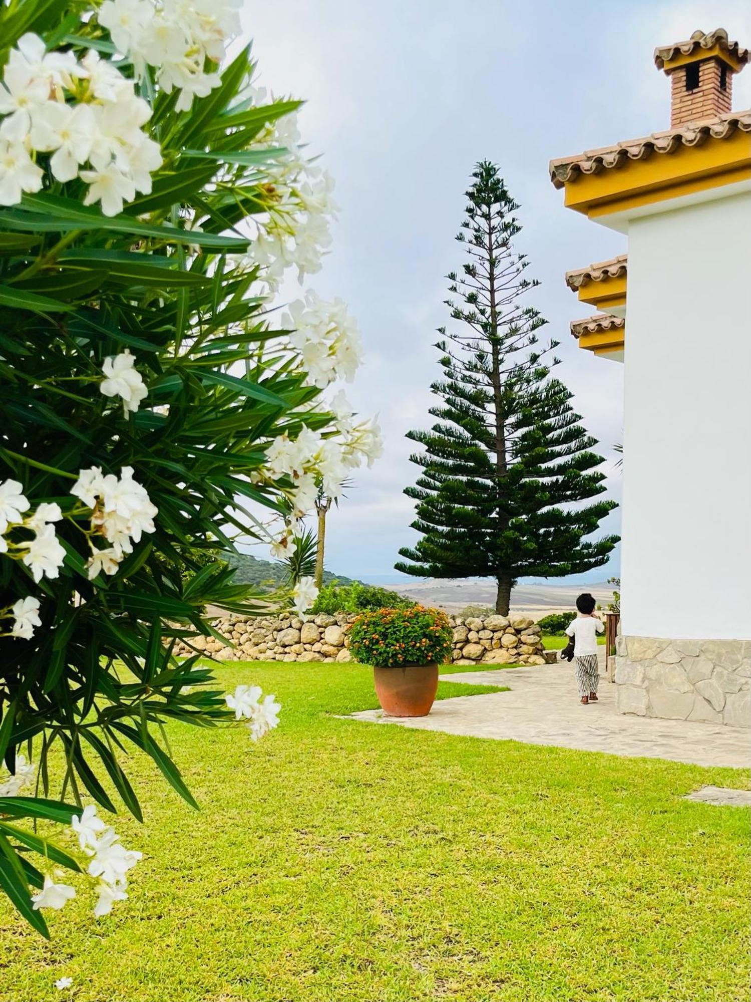 Finca La Vina Villa Vejer de la Frontera Exteriör bild