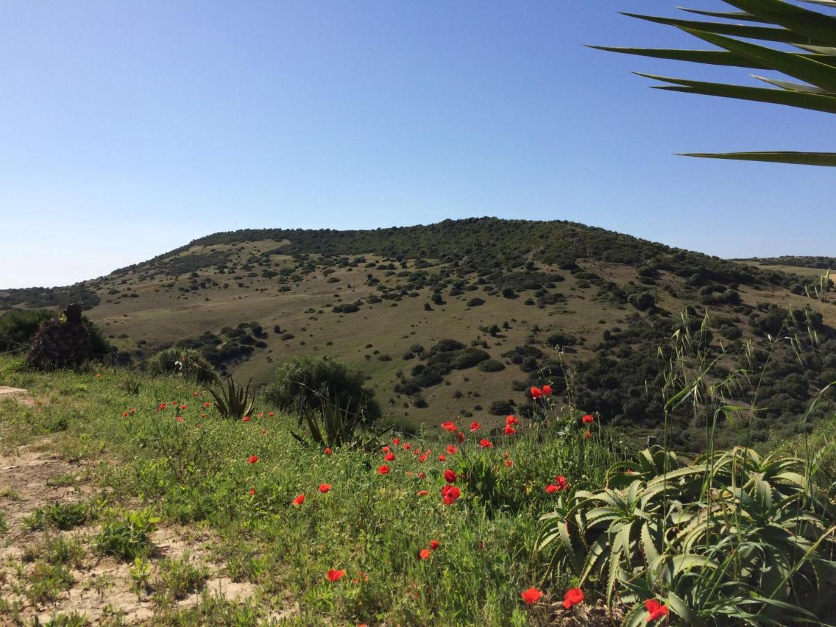 Finca La Vina Villa Vejer de la Frontera Exteriör bild